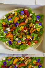 Load image into Gallery viewer, The Gather Bundle